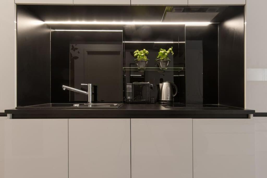 Gorgeous Central Flat With Garage Laibach Exterior foto