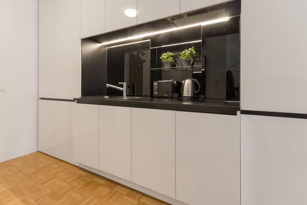 Gorgeous Central Flat With Garage Laibach Exterior foto
